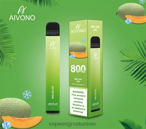 glace au melon