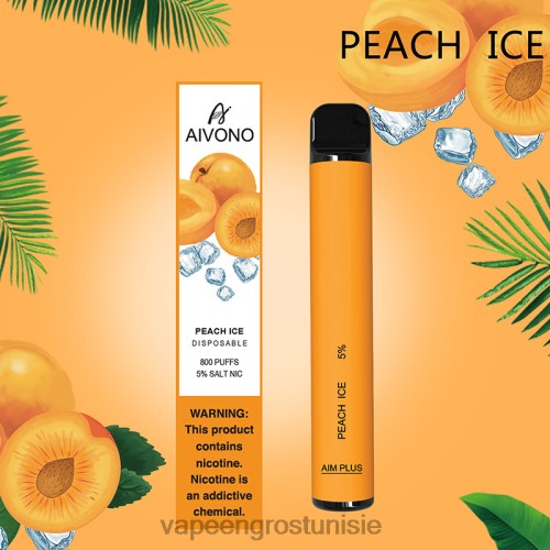 glace à la pêche
