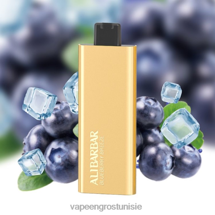 Vape En Gros - Alibarbar Pandora 7000 vapes jetables brise de myrtille 6N6RB51
