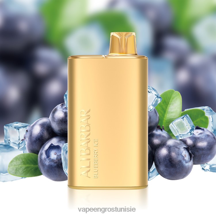 Cigarette Electronique Grossiste - Alibarbar Rich 8000 vapes jetables fruit du diable 6N6RB4