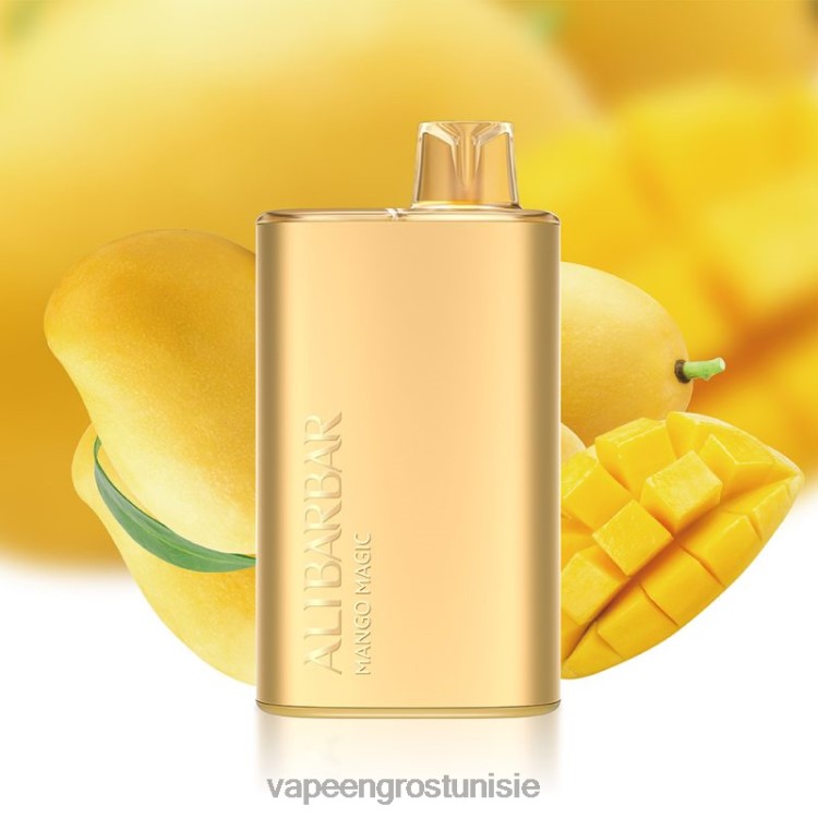 Cigarette Électronique Jetable - Alibarbar Rich 8000 vapes jetables magie de la mangue 6N6RB7