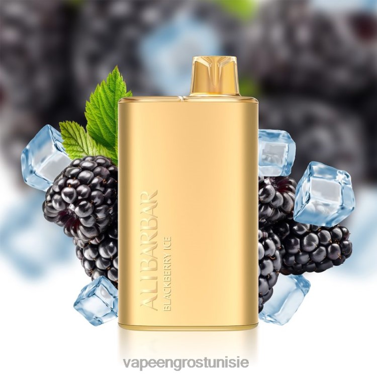 Cigarette Électronique Jetable Tunisie - Alibarbar Rich 8000 vapes jetables glace aux mûres 6N6RB10