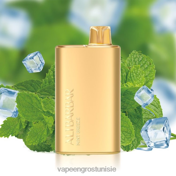 Cigarette Électronique Tunisie - Alibarbar Rich 8000 vapes jetables brise de menthe 6N6RB8