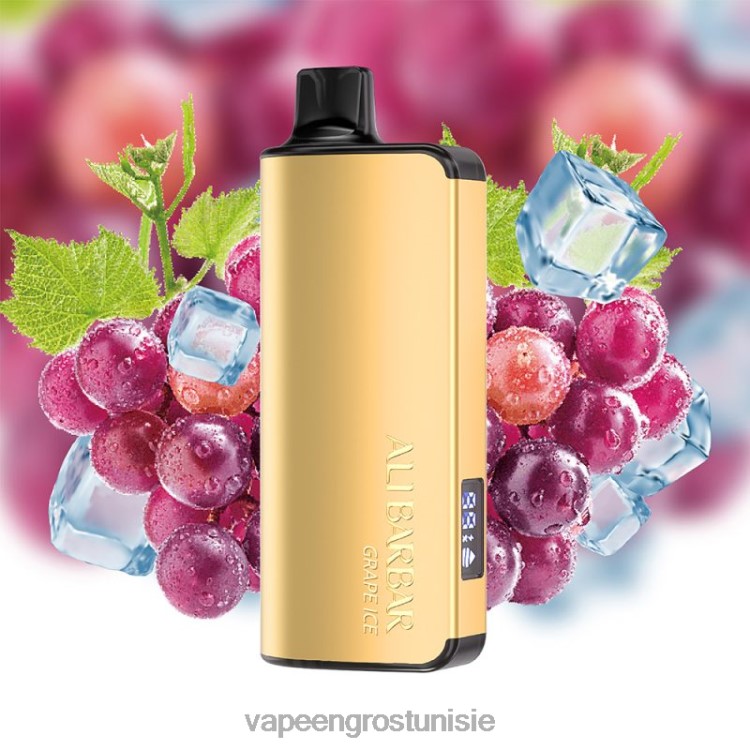 Cigarette Électronique Jetable - Alibarbar Ingot 20000 vapes jetables glace aux raisins 6N6RB37