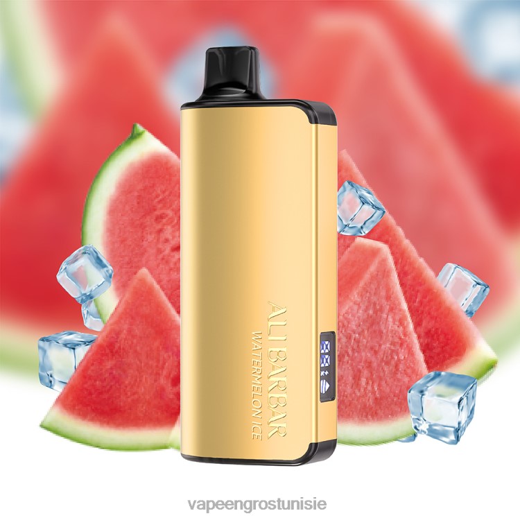 Cigarette Électronique Jetable - Alibarbar Ingot 20000 vapes jetables glace aux raisins 6N6RB37