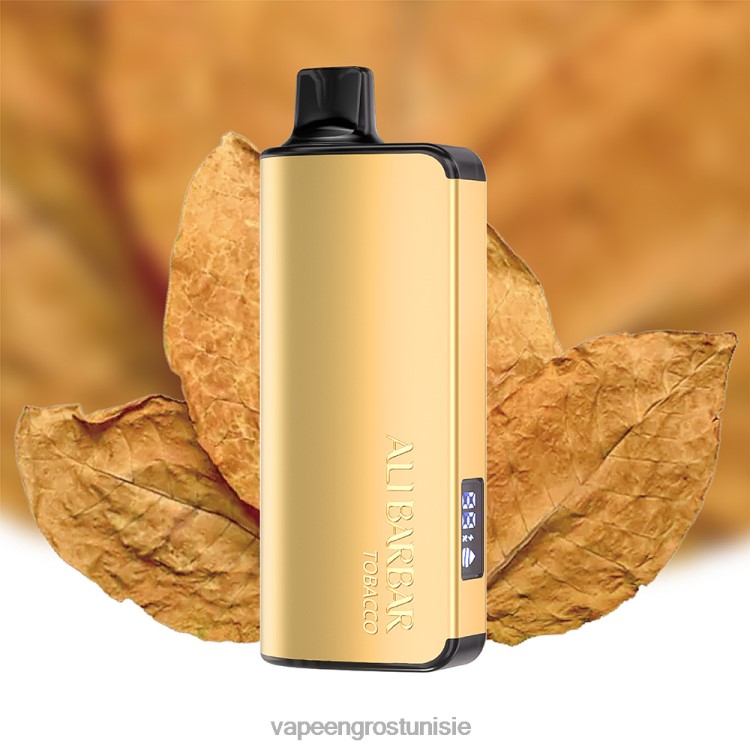Cigarette Électronique Jetable - Alibarbar Ingot 20000 vapes jetables glace aux raisins 6N6RB37