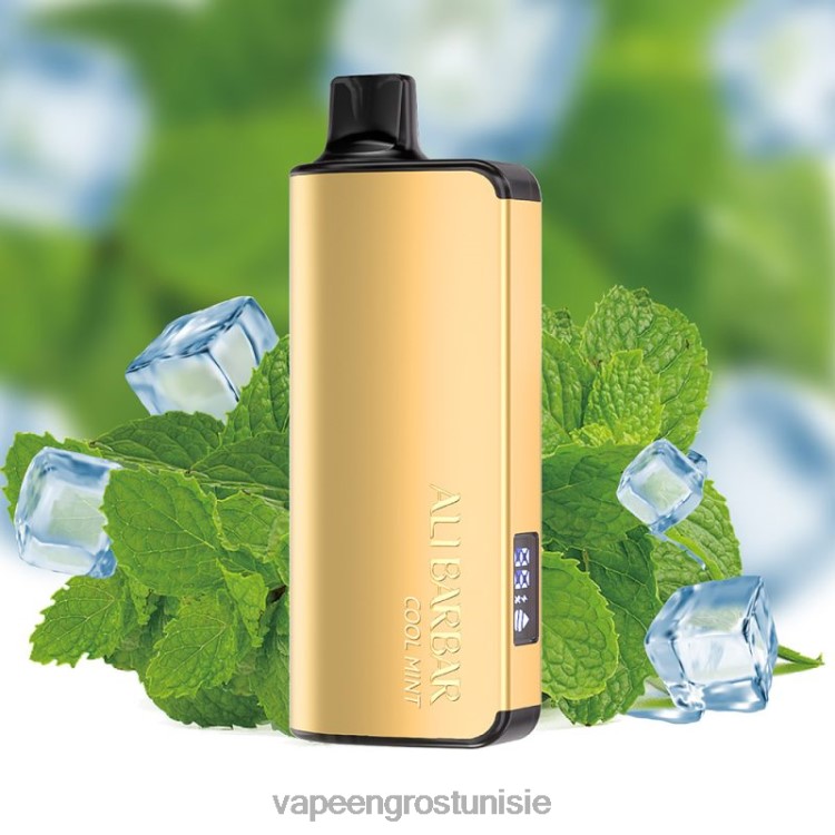 Cigarette Électronique Prix - Alibarbar Ingot 20000 vapes jetables menthe fraîche 6N6RB35