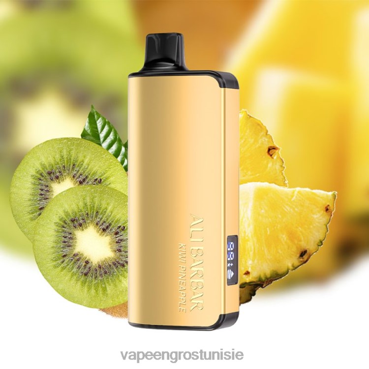 Cigarette Électronique Tunisie - Alibarbar Ingot 20000 vapes jetables ananas kiwi 6N6RB38