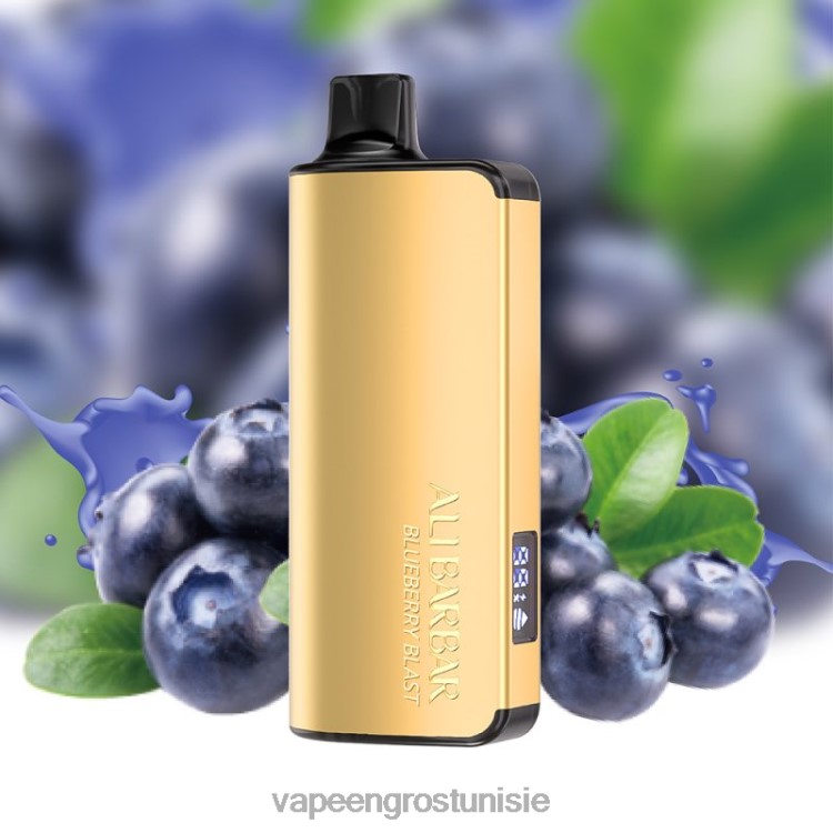 Vape En Gros - Alibarbar Ingot 20000 vapes jetables explosion de myrtilles 6N6RB31