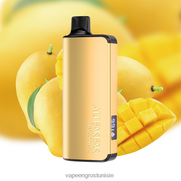 Cigarette Électronique Jetable Prix - Alibarbar Ingot 9000 vapes jetables magie de la mangue 6N6RB29