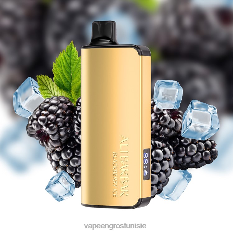 Cigarette Électronique Jetable Prix - Alibarbar Ingot 9000 vapes jetables roulette des saveurs 6N6RB19