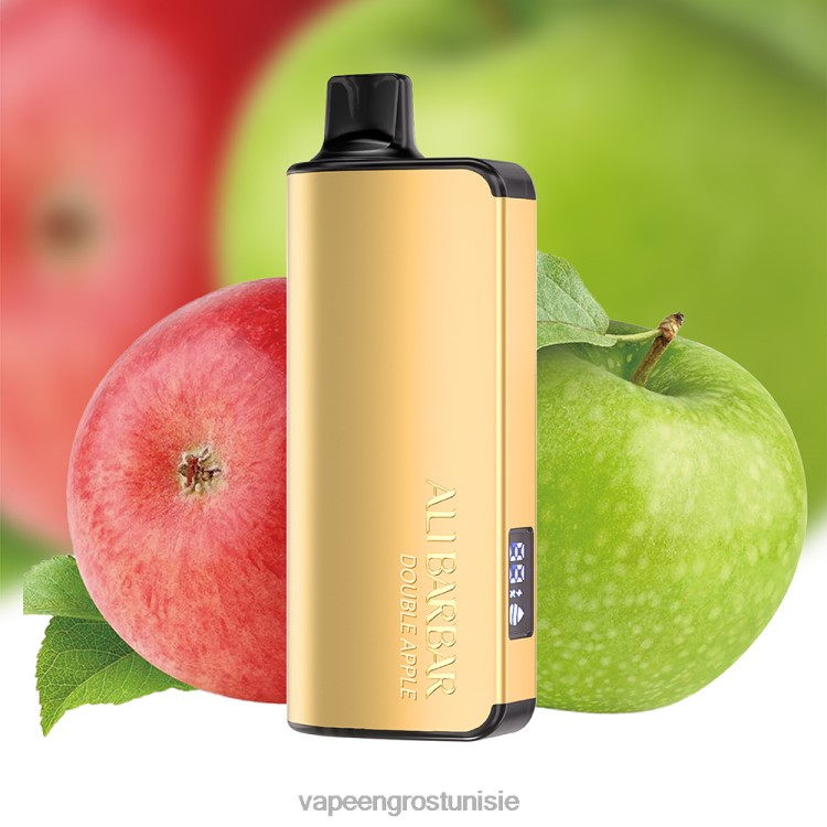 Cigarette Électronique Tunisie - Alibarbar Ingot 9000 vapes jetables double pomme 6N6RB28