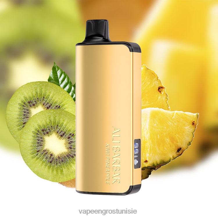 Vape En Gros - Alibarbar Ingot 9000 vapes jetables ananas kiwi 6N6RB21