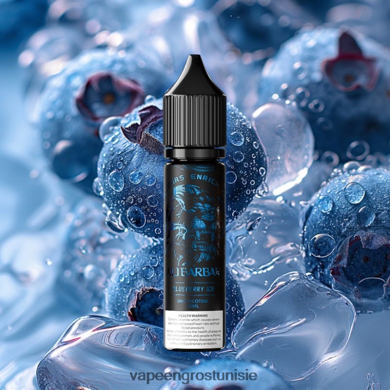 Vape En Gros - Alibarbar quai d'onyx de narguilé 88T424104 glace aux myrtilles