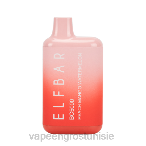 Cigarette Electronique Grossiste - pêche, mangue, pastèque NHPL304 ELFBAR BC5000