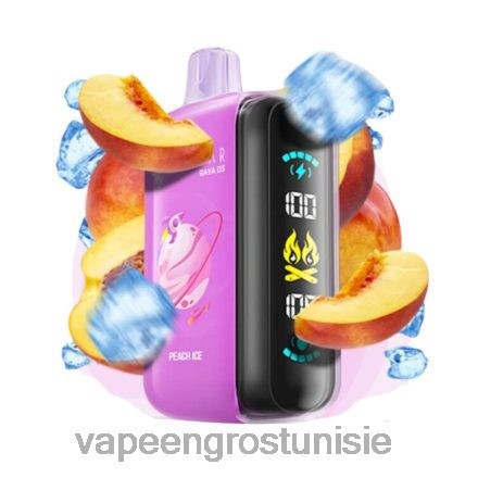 Vape En Gros - Elf Bar Raya D3 25000 jetable 868N01