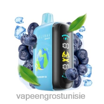 Vape En Gros - Elf Bar Raya D3 25000 jetable 868N01