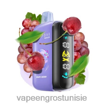 Vape En Gros - Elf Bar Raya D3 25000 jetable 868N01