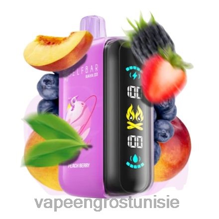 Vape En Gros - Elf Bar Raya D3 25000 jetable 868N01