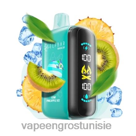 Vape En Gros - Elf Bar Raya D3 25000 jetable 868N01