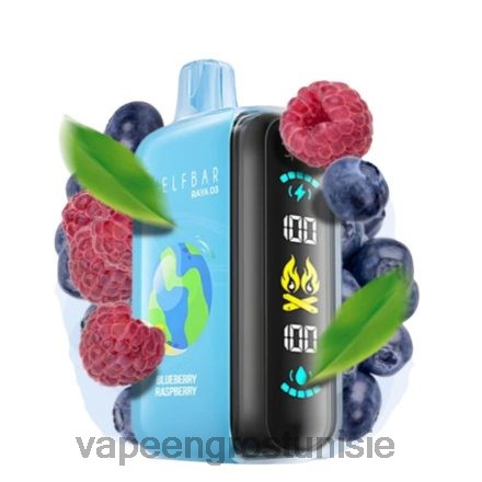 Vape En Gros - Elf Bar Raya D3 25000 jetable 868N01