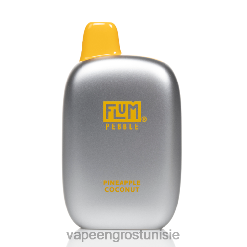 ananas noix de coco