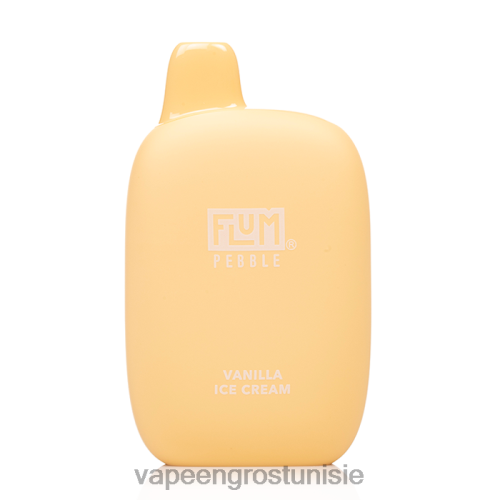 Vape En Gros Tunisie - FLUM PEBBLES 6000 bouffées glace à la vanille 2DB6Z52