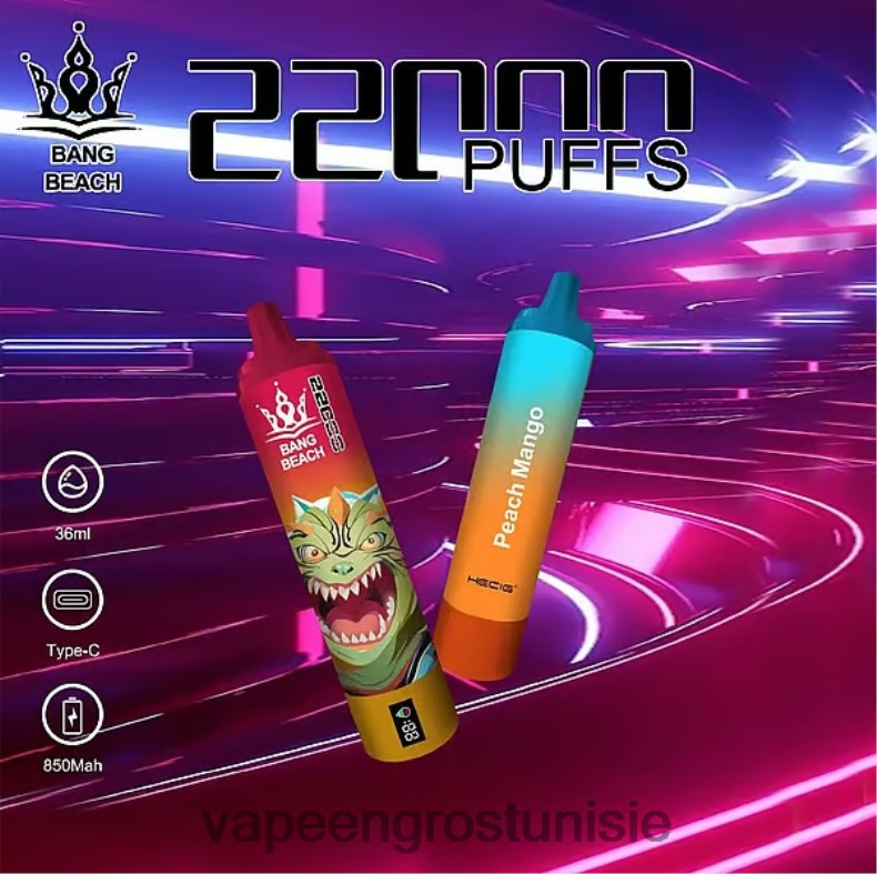Cigarette Electronique Grossiste - Bang Beach Écran intelligent de 22 000 bouffées pêche mangue LV0DLZ24