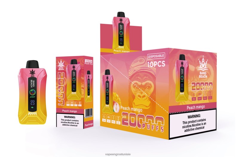 Vape En Gros Tunisie - Bang Beach Vape à écran intelligent de 20 000 bouffées pêche mangue LV0DLZ2