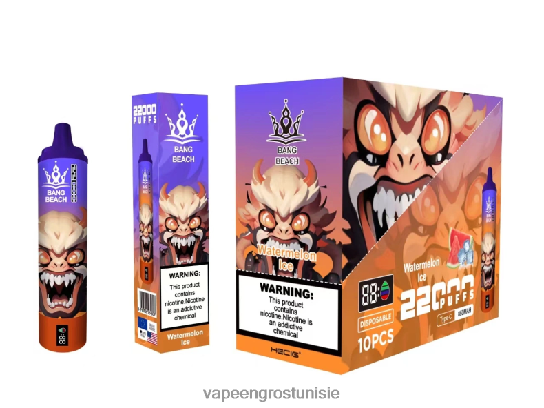 Vape En Gros Tunisie - Bang Beach Écran intelligent de 22 000 bouffées glace à la pastèque LV0DLZ22