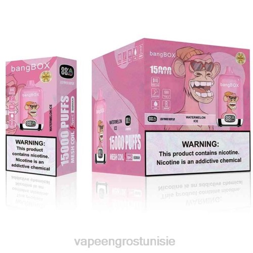 Cigarette Électronique Jetable Prix - glace à la pastèque NHPL139 Bang Box 15000