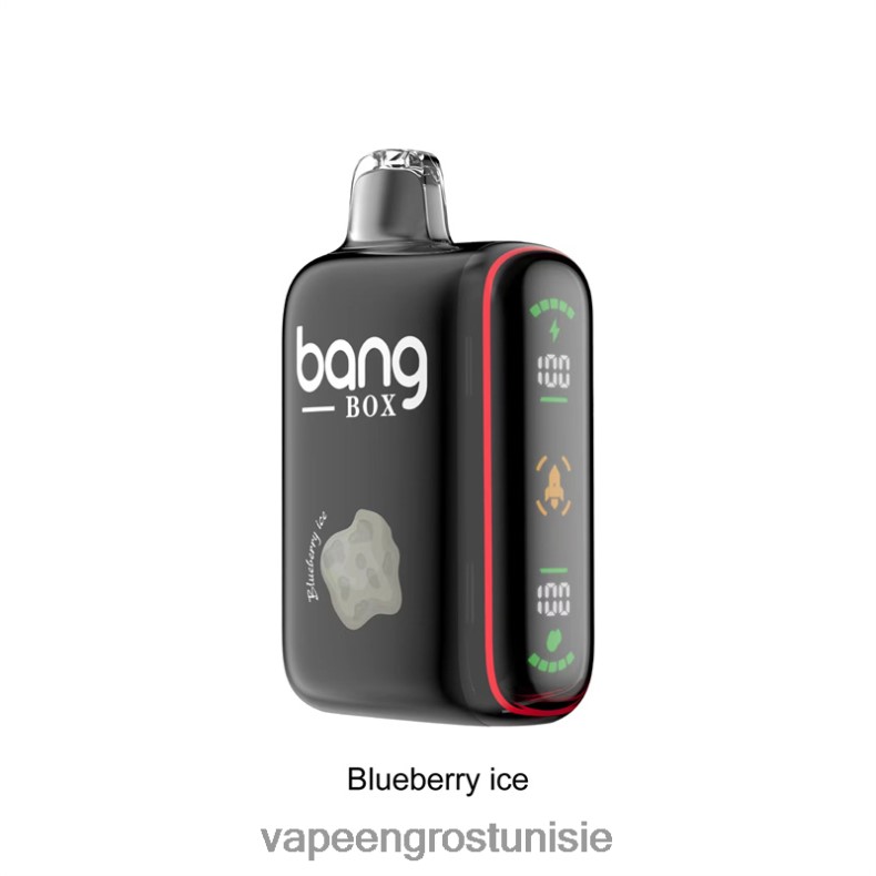Vape En Gros Tunisie - Bang Box Affichage de puissance intelligent de 9 000 à 18 000 bouffées glace aux myrtilles LV0DLZ32