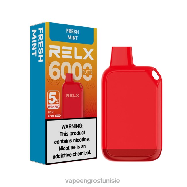Cigarette Électronique Jetable Prix - RELX Crush Pocket 6000 5 % de nic élevé menthe fraîche 2B62N29
