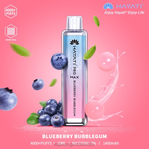 chewing-gum aux bleuets