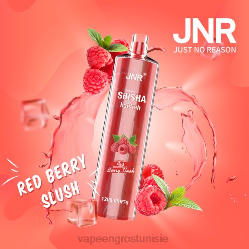 barbotine aux fruits rouges