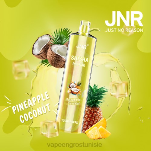 ananas noix de coco