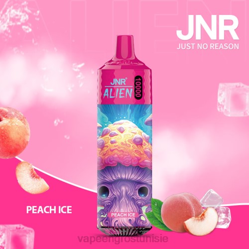 glace à la pêche