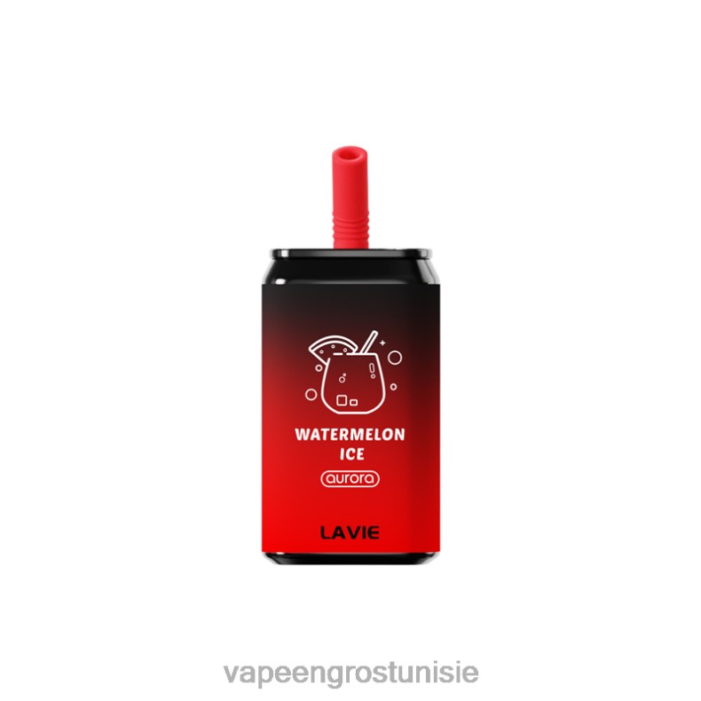 Vape En Gros - LAVIE Aurora 11000 bouffées 80XZV141 glace à la pastèque