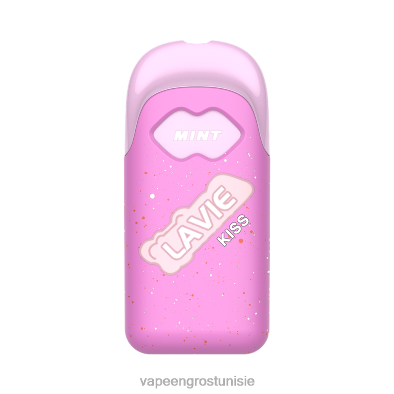 Cigarette Électronique Jetable Prix - LAVIE KISS 8000 bouffées 80XZV109 menthe