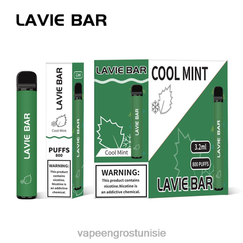 Vape En Gros - LAVIE BAR 800 bouffées 80XZV311 menthe fraîche