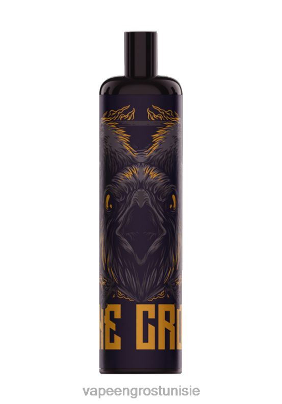 Vape En Gros Tunisie - LAVIE COLOUR BAR 5000 bouffées - énergie 80XZV342 menthe fraîche