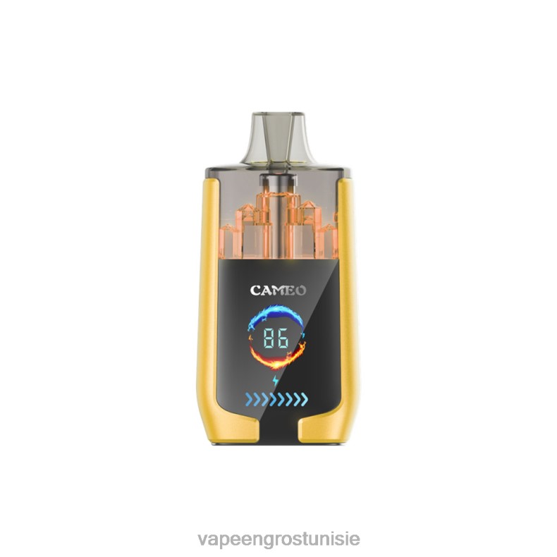 Vape En Gros - LAVIE CAMEO 30000 bouffées 80XZV21 glace à la mangue