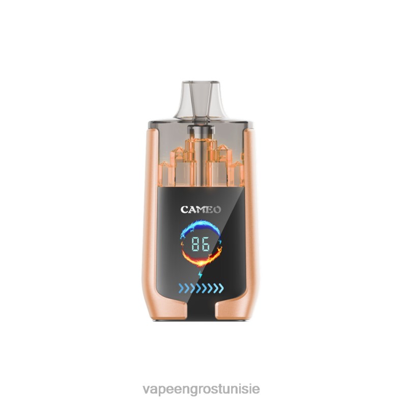 Vape En Gros Tunisie - LAVIE CAMEO 30000 bouffées 80XZV22 cerise