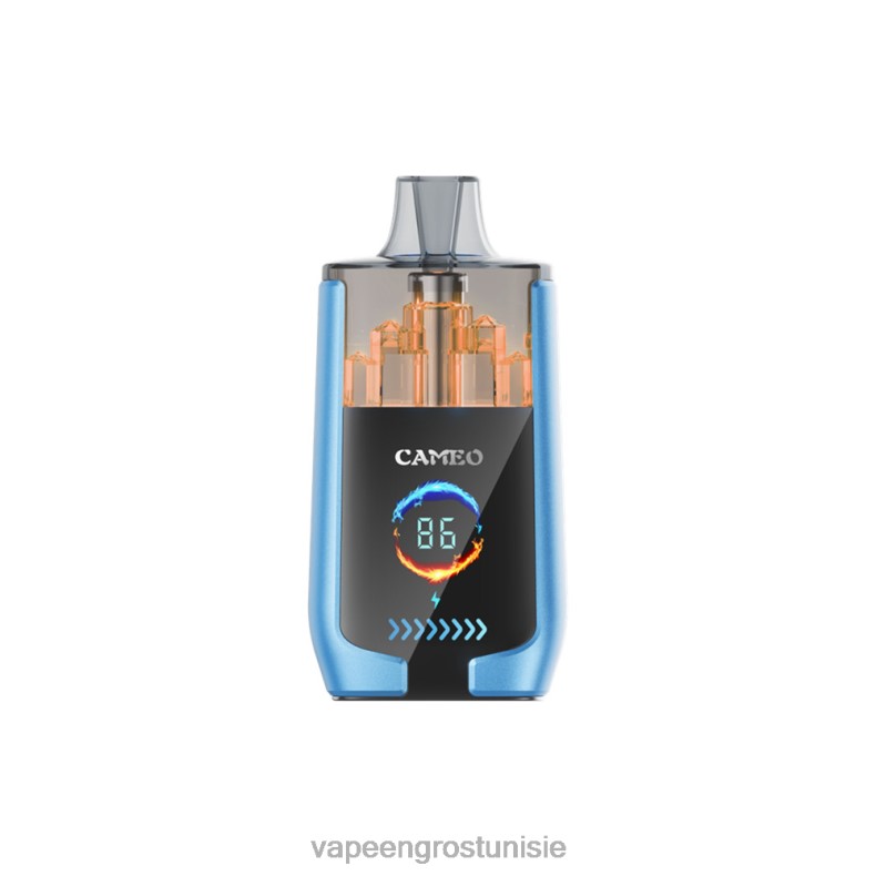 Vapoteuse En Gros - LAVIE CAMEO 30000 bouffées 80XZV13 glace à la fraise