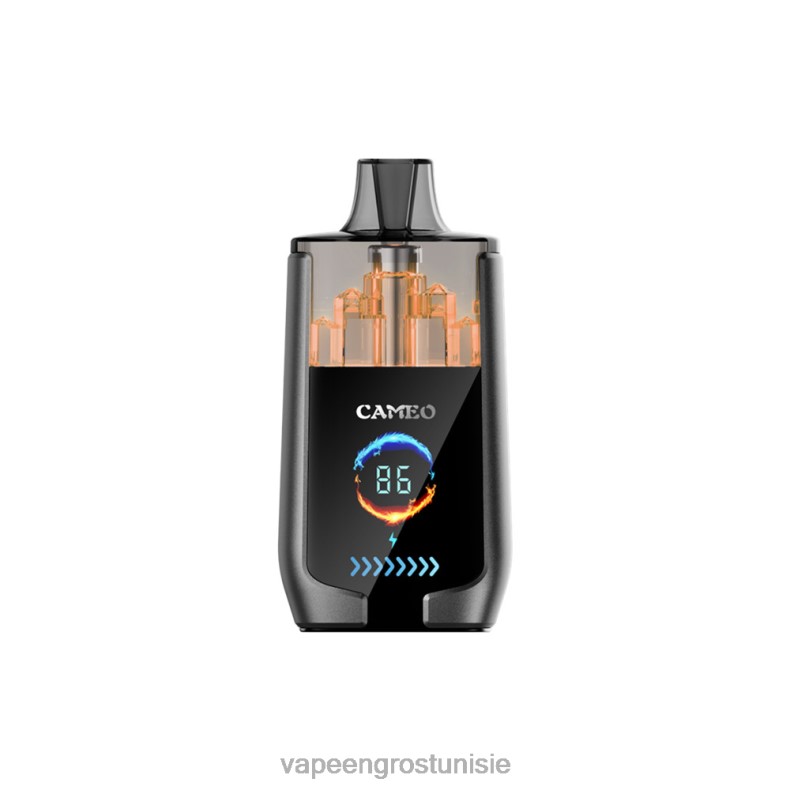 Vapoteuse En Gros - LAVIE CAMEO 30000 bouffées 80XZV23 cola au citron