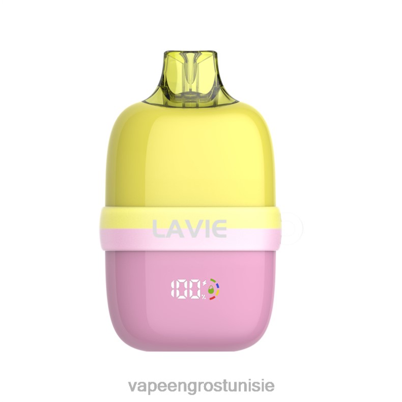 Vape En Gros Tunisie - LAVIE INSIDER 12000 bouffées 80XZV82 glace à la pastèque