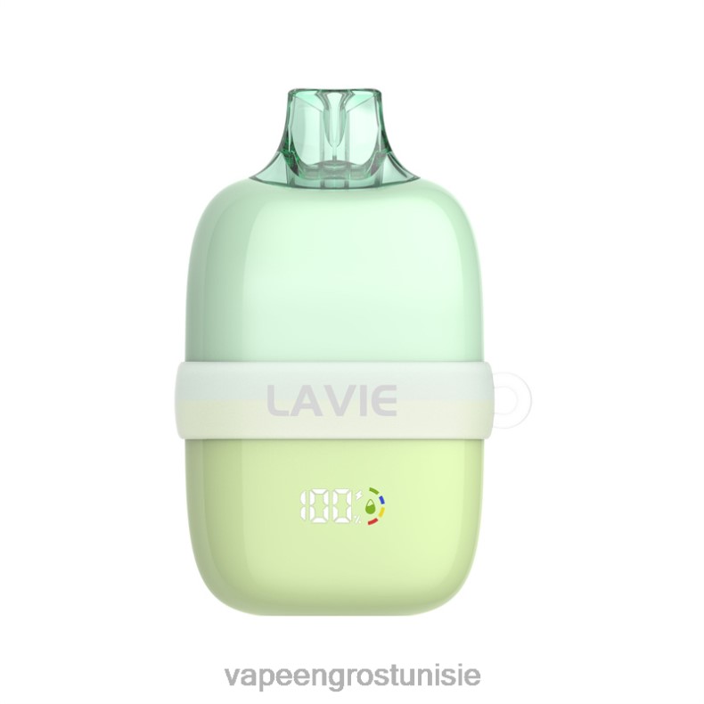 Vape En Gros Tunisie - LAVIE INSIDER 12000 bouffées 80XZV92 glace à la pomme verte