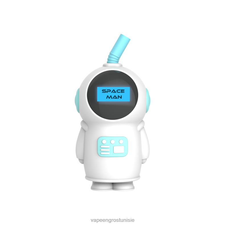 Vape En Gros - LAVIE SPACE MAN 7000 bouffées 80XZV231 glace à la menthe