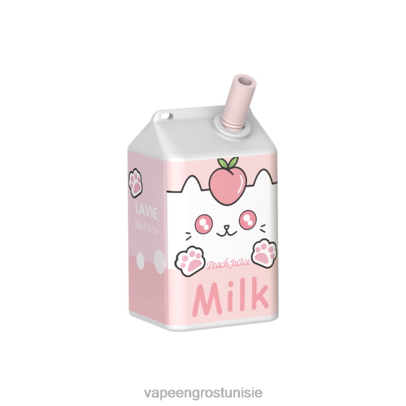 Cigarette Électronique Jetable Prix - LAVIE MILK 7000 bouffées 80XZV179 jus de pêche