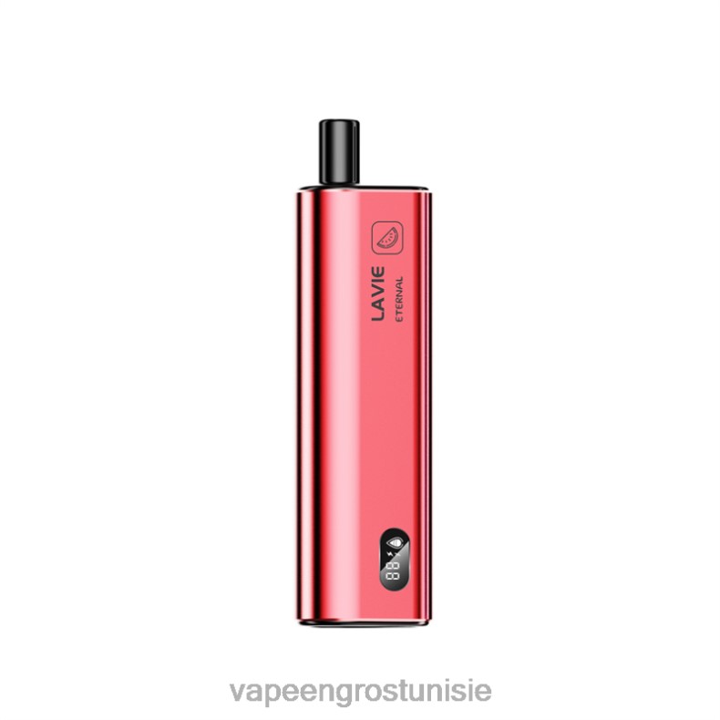 Cigarette Électronique Tunisie - LAVIE ETERNAL 10000 bouffées 80XZV118 glace à la pastèque